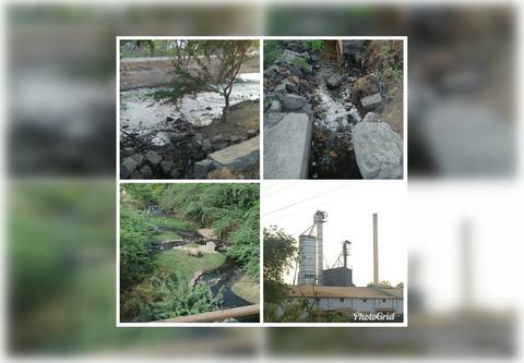 దుర్వాసన వెదజల్లుతున్న రైస్ మిల్లులు